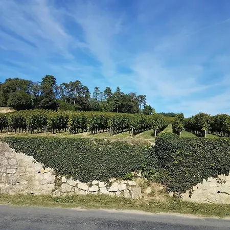 Modern With Private Garden * Chalais (Dordogne)