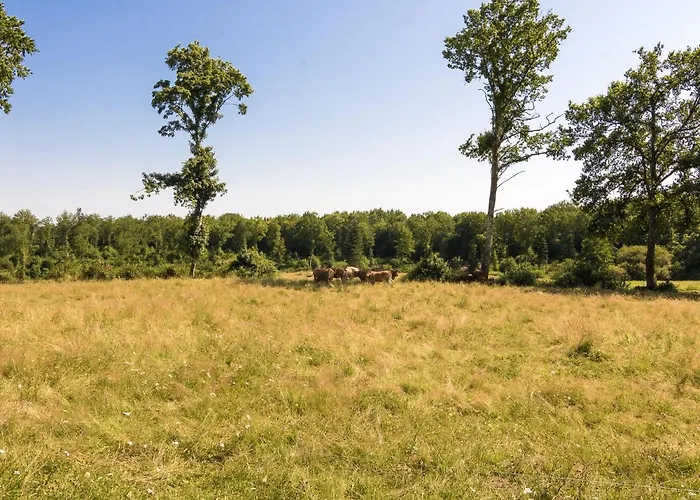 Castle In Chaleix With Pool And Views * Chalais